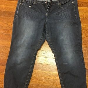 Torrid Skinny Jean (zipper on ankle)